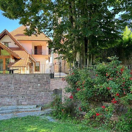 Casa Rural Roncesvalles Espinal-Auzperri المظهر الخارجي الصورة