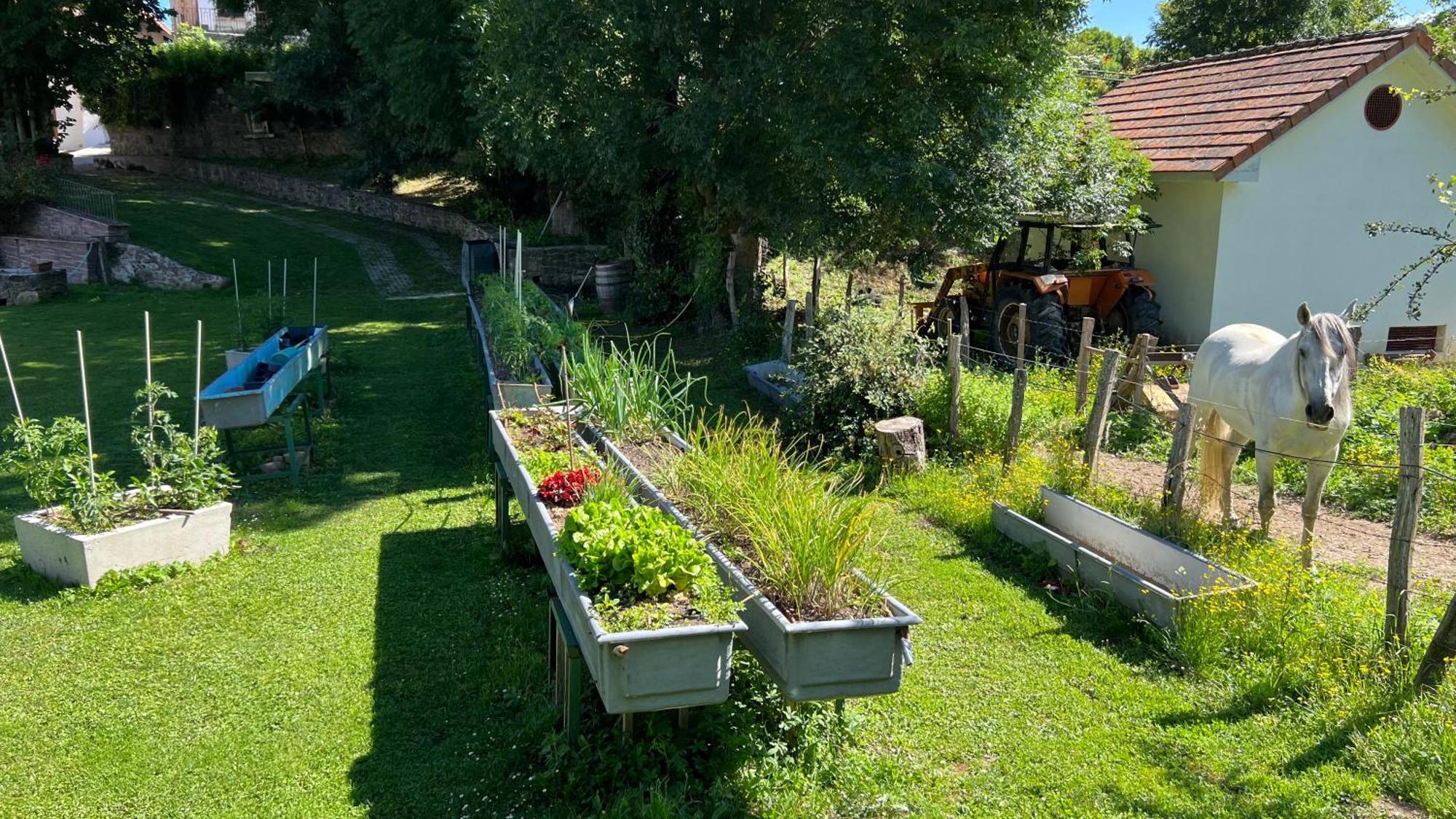 Casa Rural Roncesvalles Espinal-Auzperri المظهر الخارجي الصورة